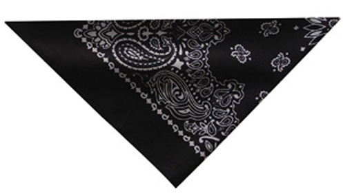 Black Paisley, 3 in1 Cooler
